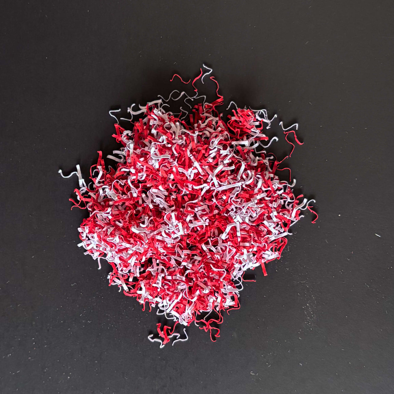 Fragments de papier de niveau P-7 photographiés par IDEAL
