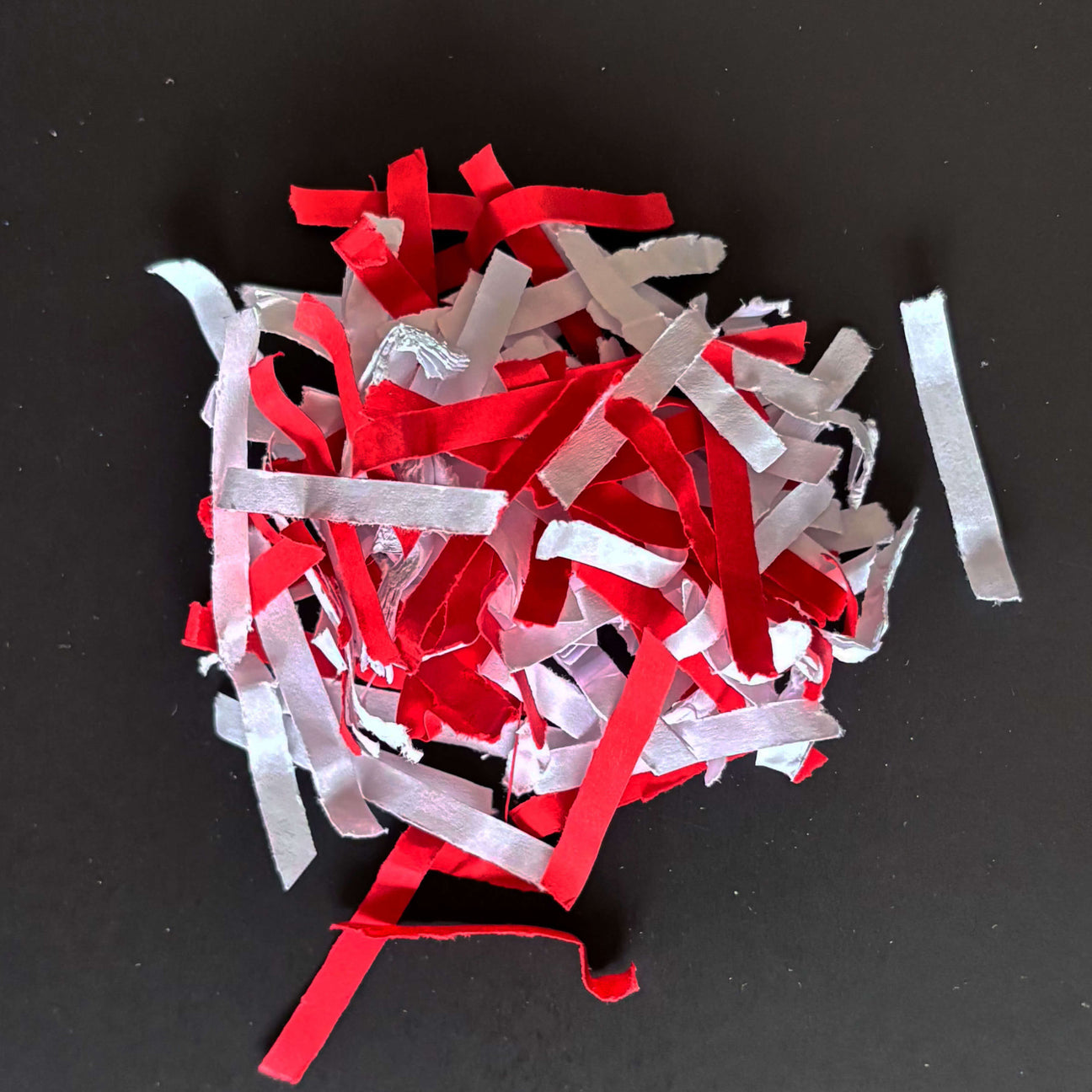 Fragments de papier de niveau P-4 photographiés par IDEAL
