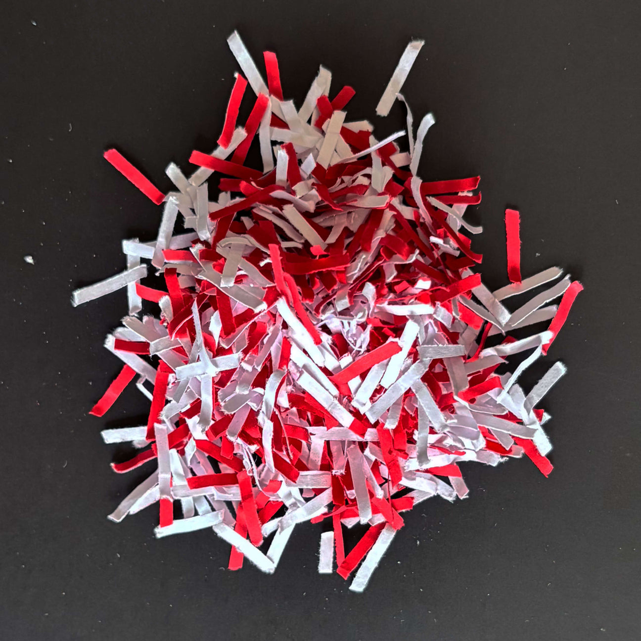 Fragments de papier de niveau P-5 photographiés par IDEAL